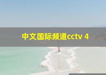 中文国际频道cctv 4